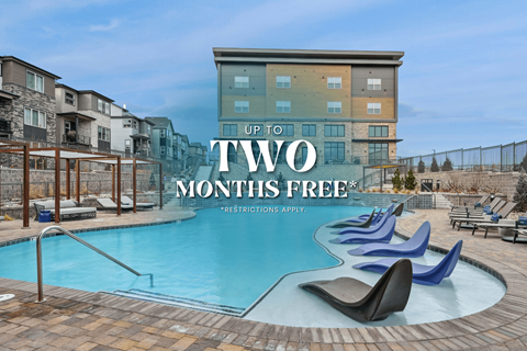 Resort-Style Pool with Sun Shelf and Grilling