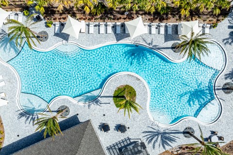 Resort-Style Salt-Water Pool with Sun Shelf