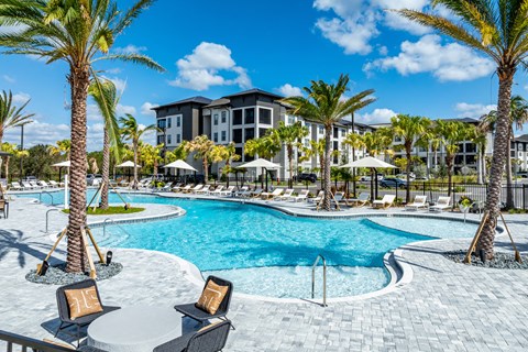 Resort-Style Salt-Water Pool with Sun Shelf