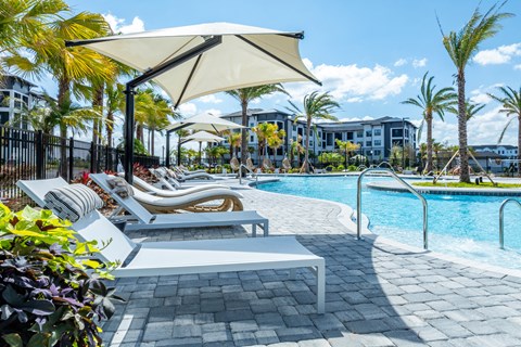 Resort-Style Salt-Water Pool with Sun Shelf