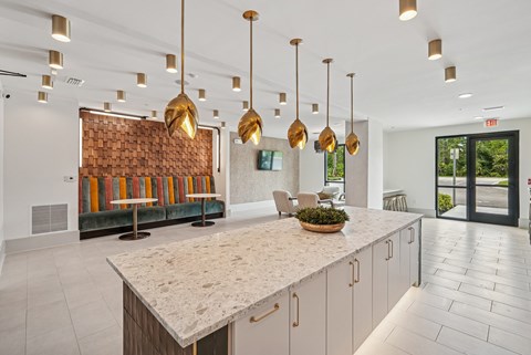 Social Lounge with Demonstration Kitchen