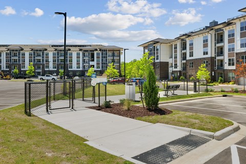 Dog Park