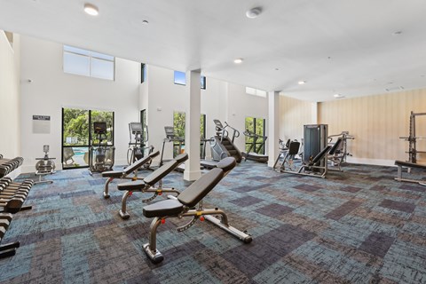 Expansive High-Endurance Fitness Center