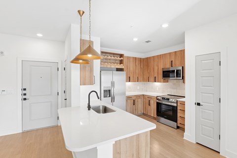 14701 Vintage Preserve Parkway 1-2 Beds Apartment for Rent