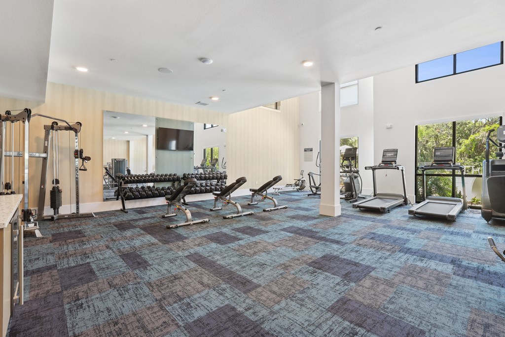 a workout room with treadmills and weights in a home gym