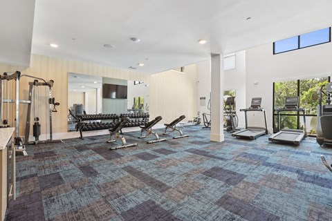 Expansive High-Endurance Fitness Center
