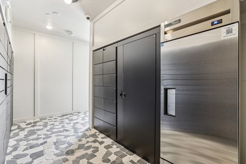 24/7 Secure Package Retrieval Lockers