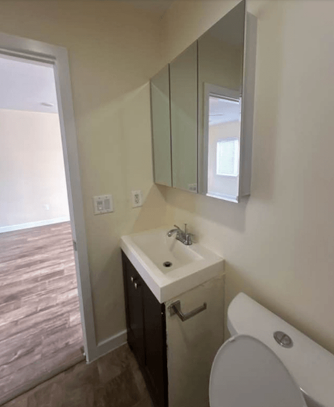 a bathroom with a sink and a toilet and a mirror