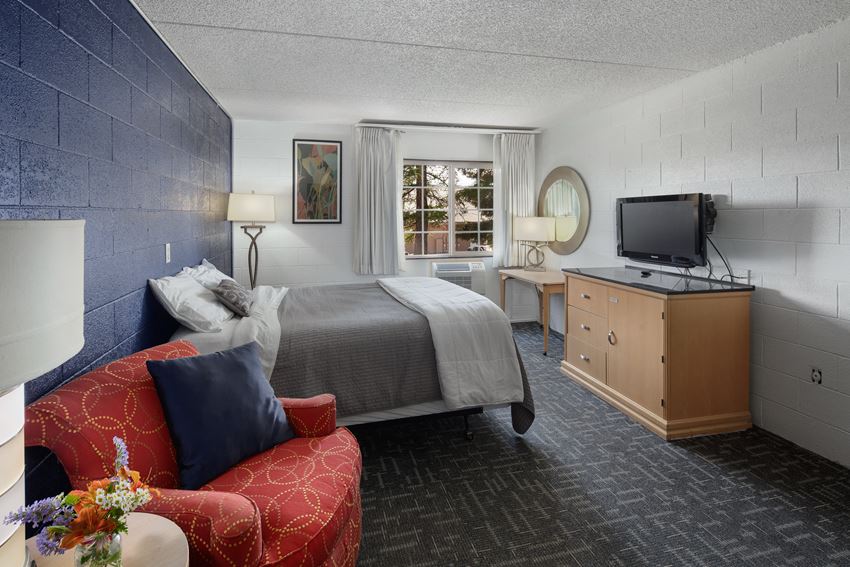 1 Bed Large Studio InteriorOneBedLGStudio3