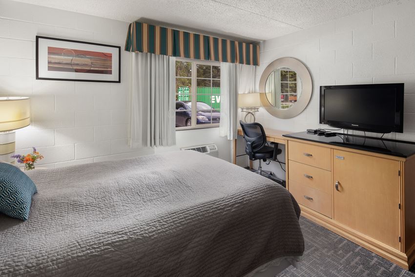 1 Bed Studio InteriorOneBedStudio