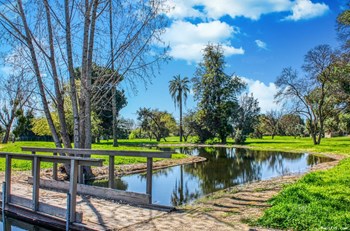 This walk area through the grounds takes you by a beautiful water feature. - Photo Gallery 3