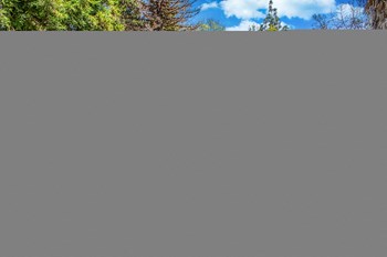Landing Ponds - Photo Gallery 3
