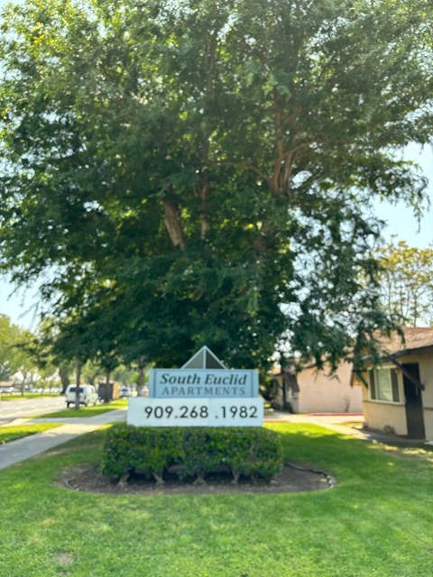 A tree is in front of a sign for South Euclid Apartments.