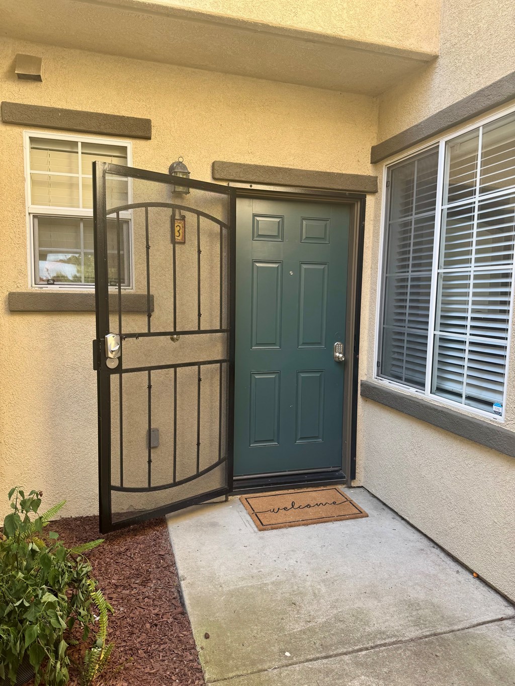 A green door is closed with a gate in front of it.
