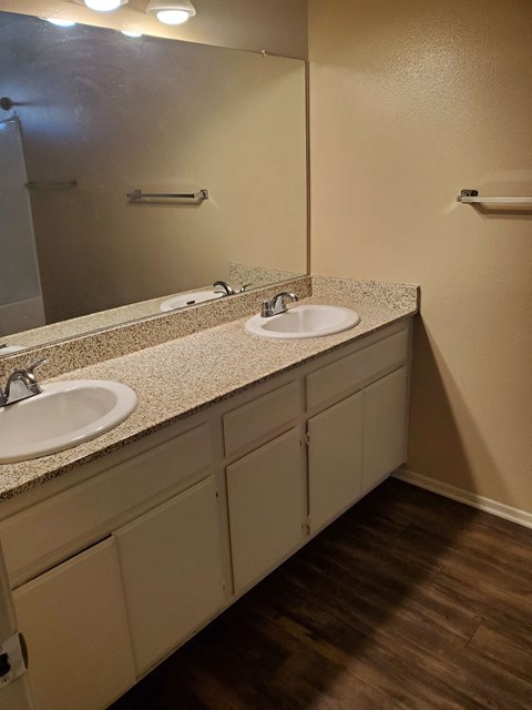 a bathroom with two sinks and a mirror