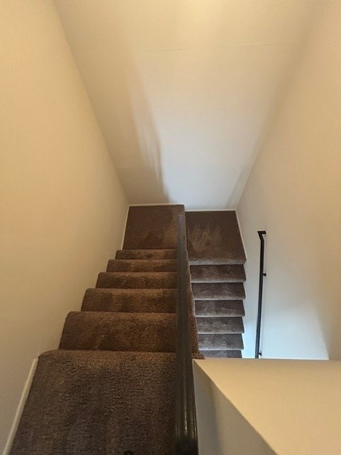 A staircase with a carpeted runner and a black handrail.