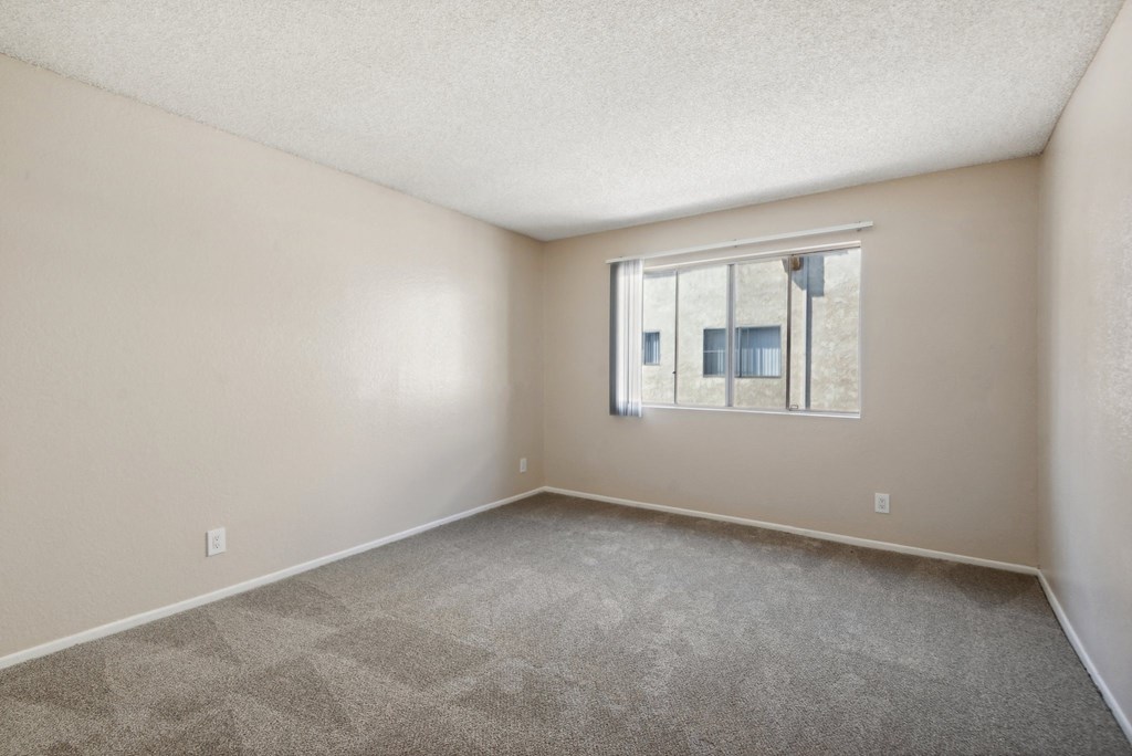 the spacious living room of an apartment with carpet and a window