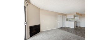 Living room in a one bedroom unit
