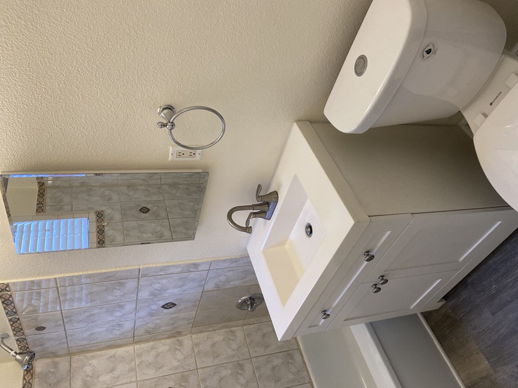 a bathroom with a sink and a toilet and a shower