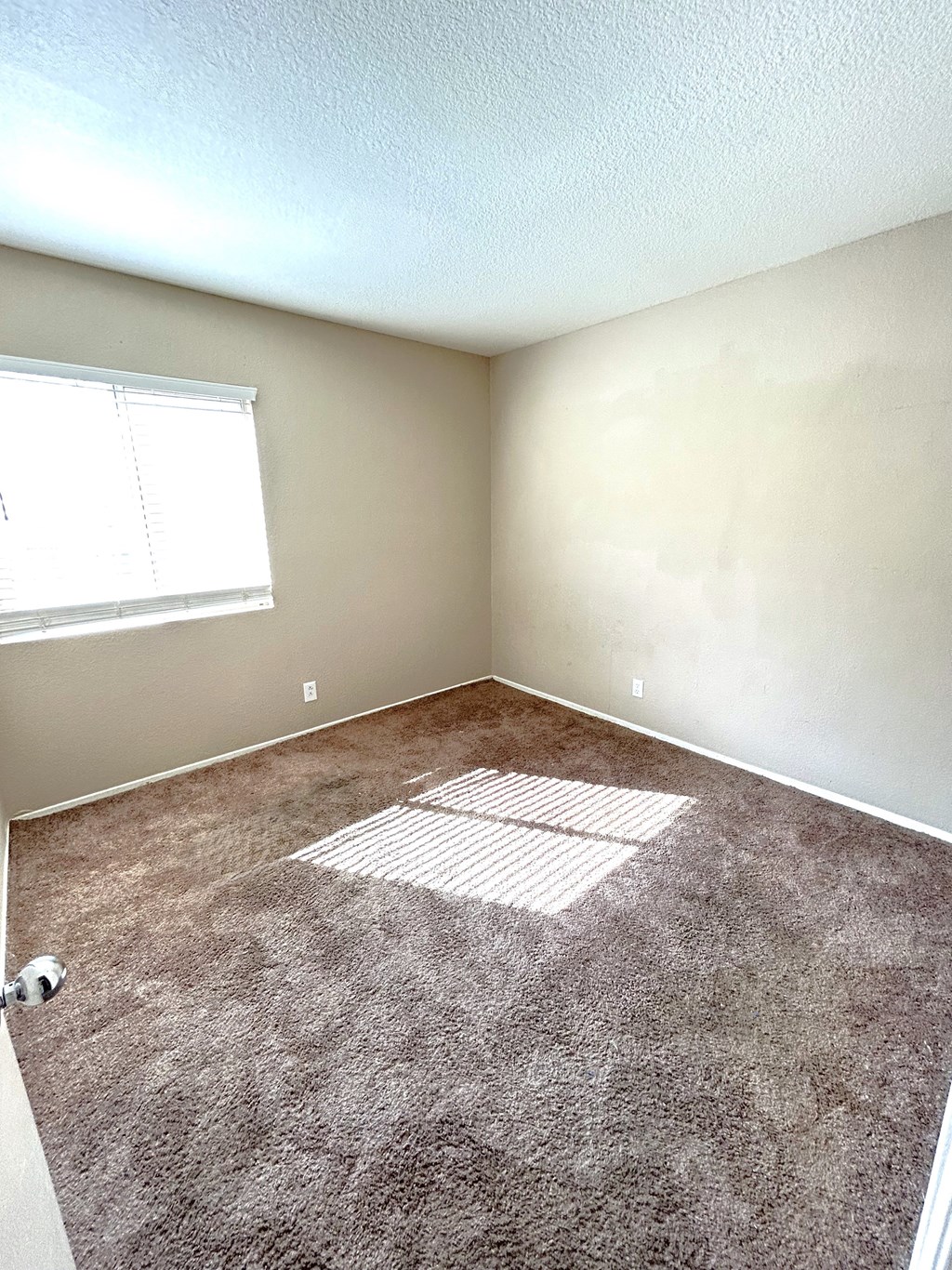 A room with a carpet and a window.