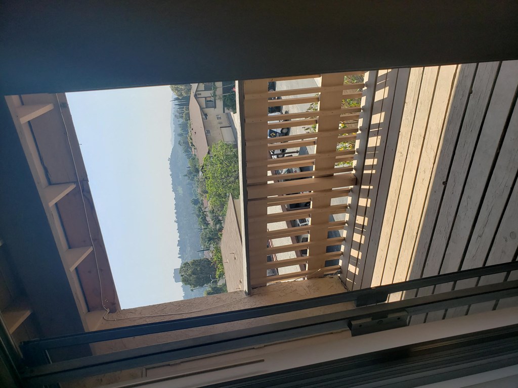 the view from my window