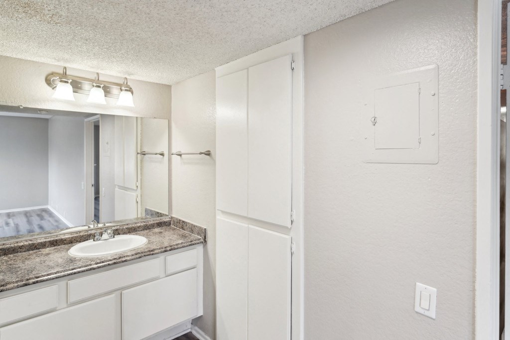 a bathroom with a sink and a mirror