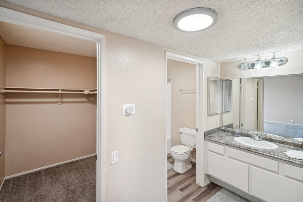 a bathroom with a toilet and a sink and a mirror