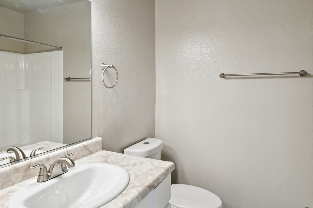 a bathroom with a sink and a toilet and a mirror