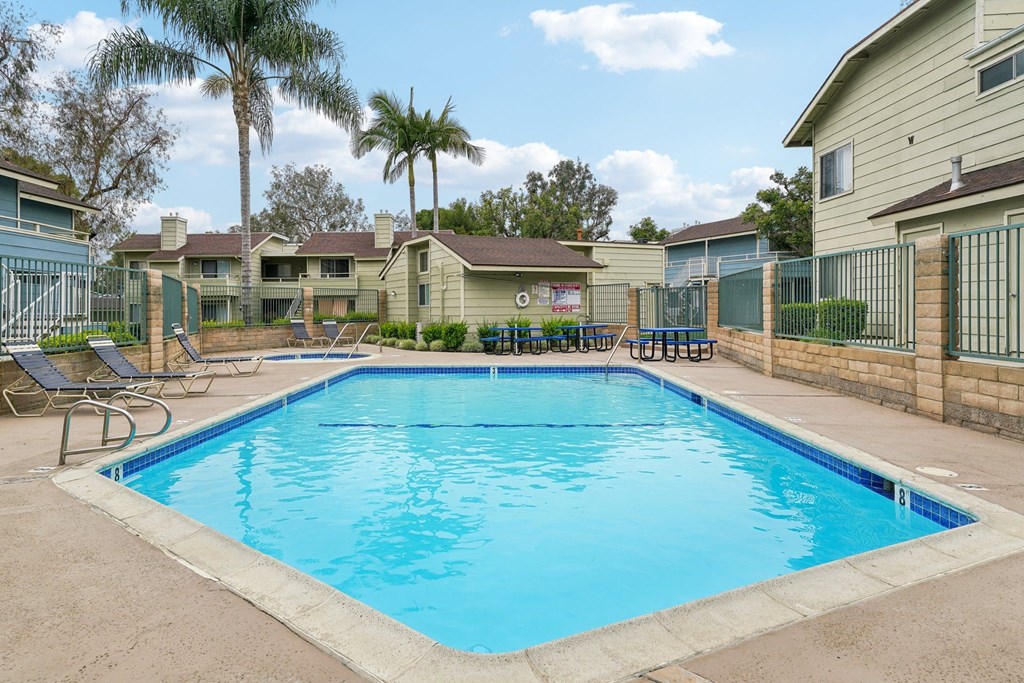 our resort style swimming pool is next to our apartments and has palm trees