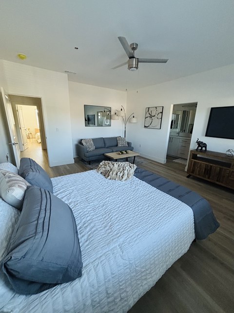 A bedroom with a bed, a couch, a ceiling fan, and a television.