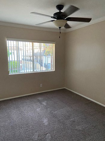 9910 Ramona Street Studio-2 Beds Apartment for Rent - Photo Gallery 5