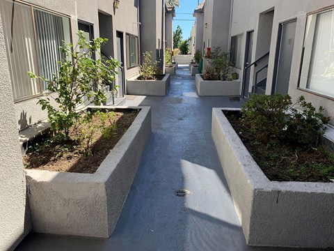 Courtyard