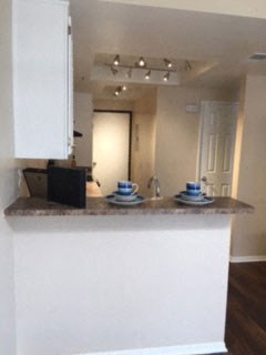bar/kitchen area