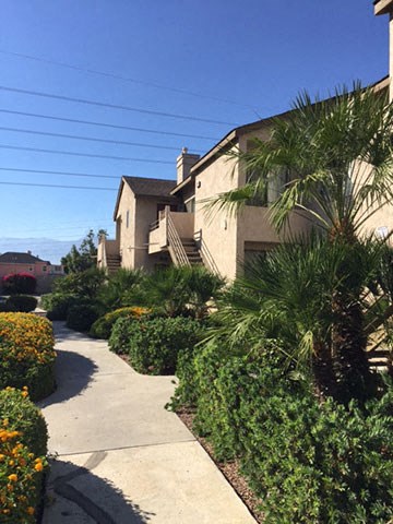 Village Drive