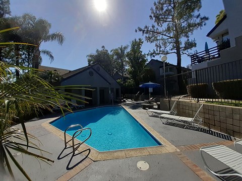 pool and spa