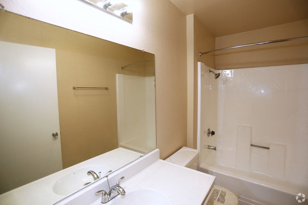 a bathroom with a sink and a shower and a mirror