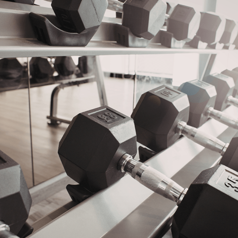 Fitness center with dumbbell rack and equipment at Windham Village Apartments, Windham