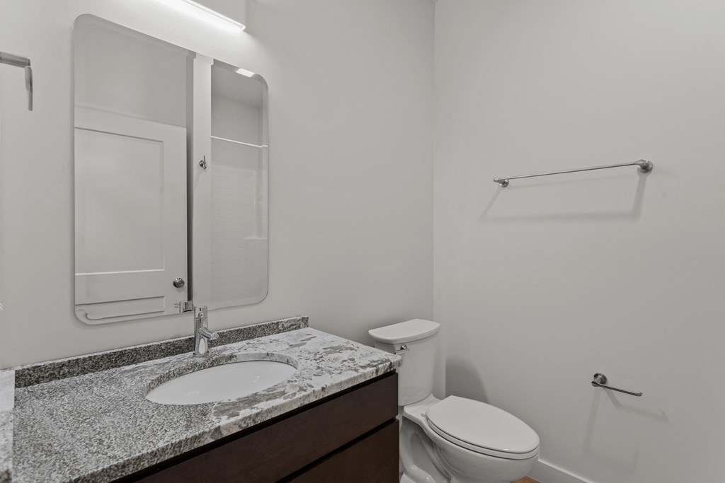 a bathroom with a sink and toilet and a mirror