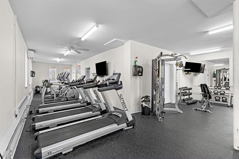 the gym has cardio equipment and weights in it