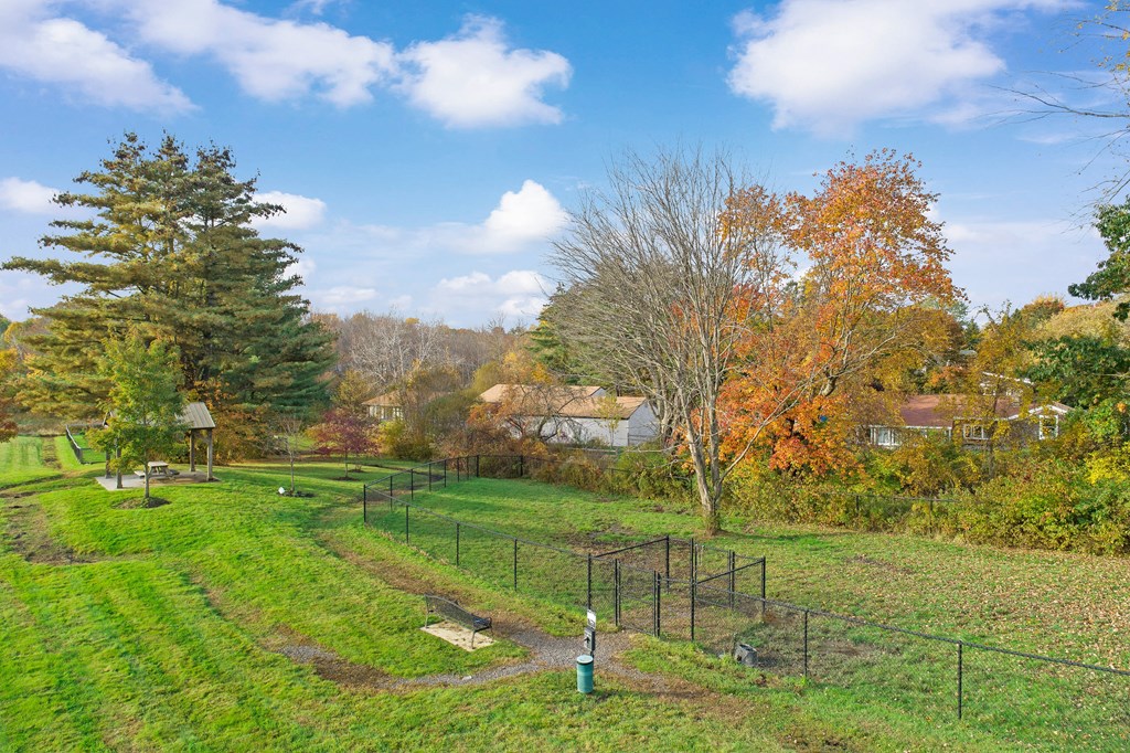 a view of a park with trees and a fence