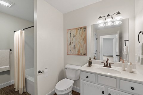 a bathroom with a white sink and toilet and a shower