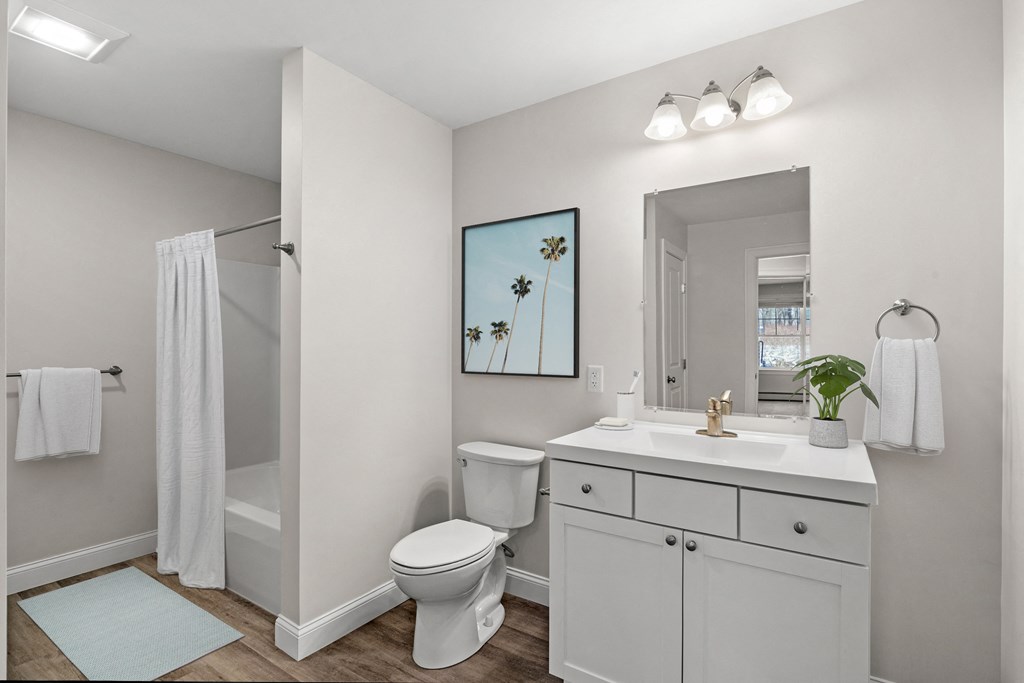 a bathroom with a white sink and toilet and a shower