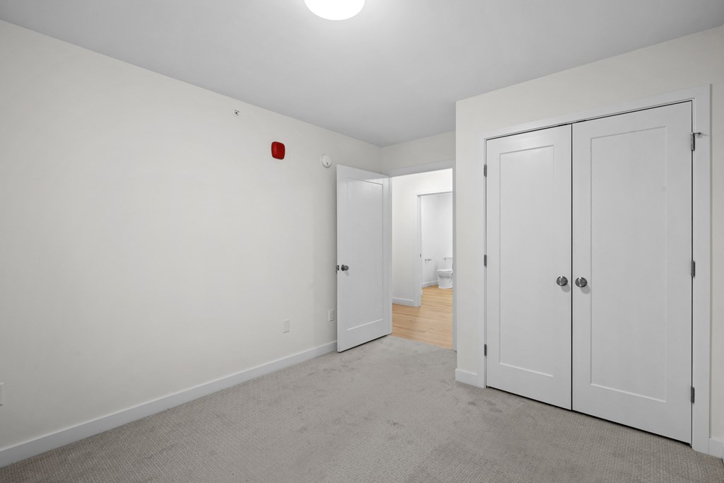 a bedroom with two closets and a carpeted floor