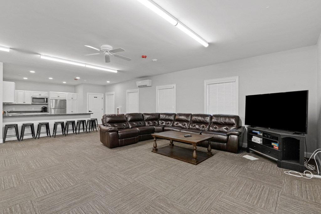 a living room with a couch and a television