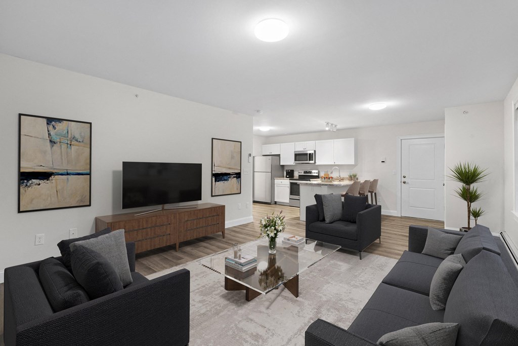a living room with couches and a coffee table and a television