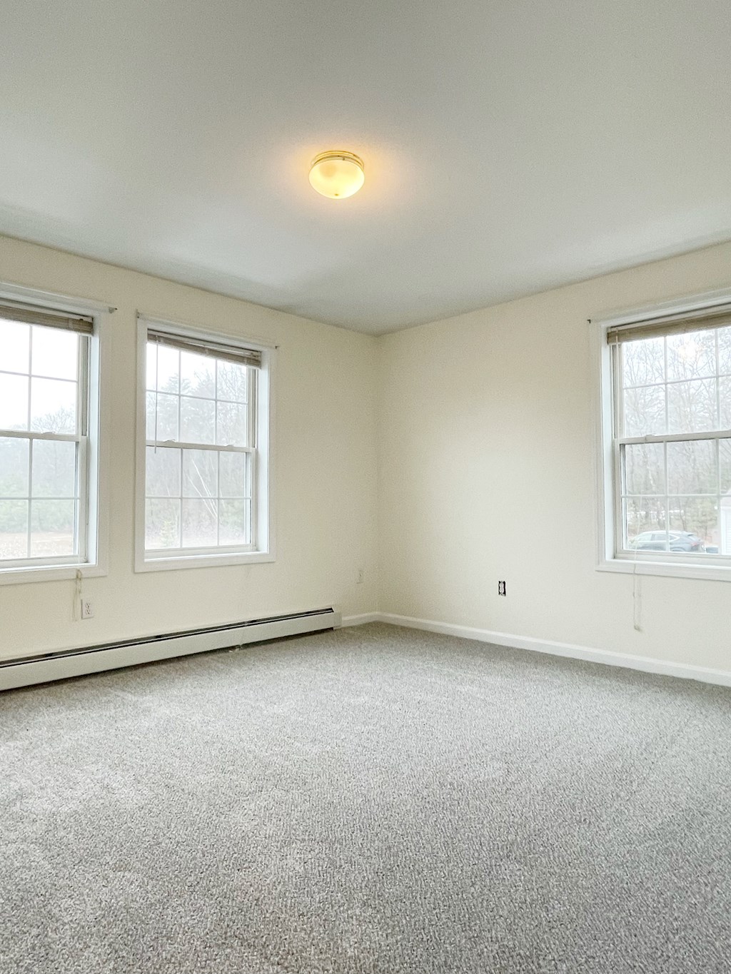 A room with a carpeted floor and two windows.