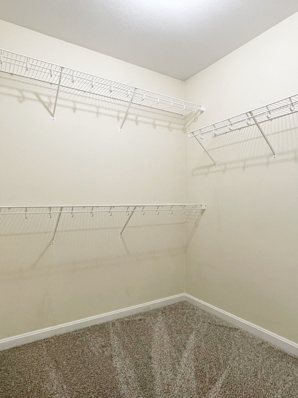 Empty white shelves in a room with a carpeted floor.