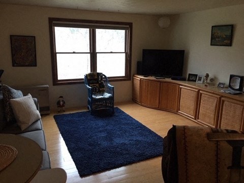 A living room with a blue rug and a television.