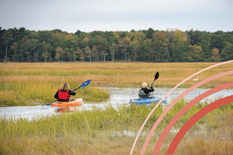 Paddle It Up In Scarborough