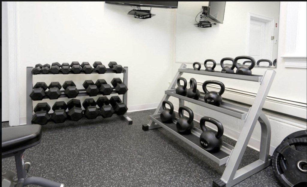 a gym with dumbbells and weights on a rack